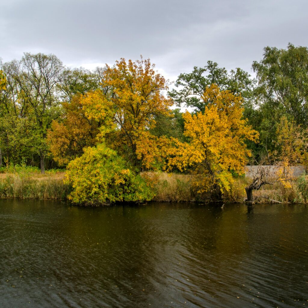 Back Waters